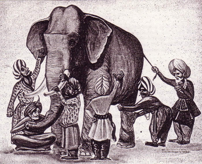 Incomprensioni e Conflitti - I sei ciechi e l'elefante - UYM